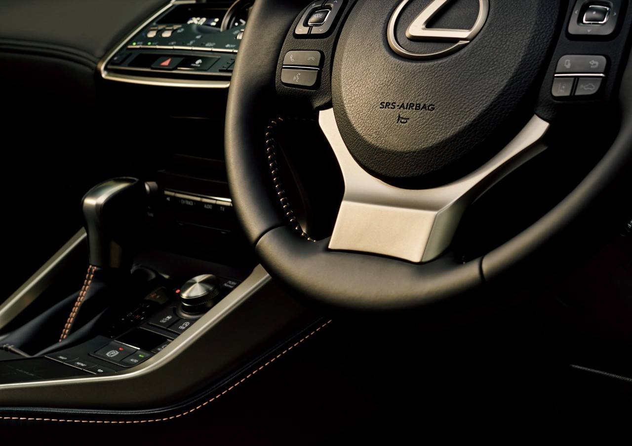 2020 - LEXUS NX BRONZE SPECIAL EDITION, foto 7