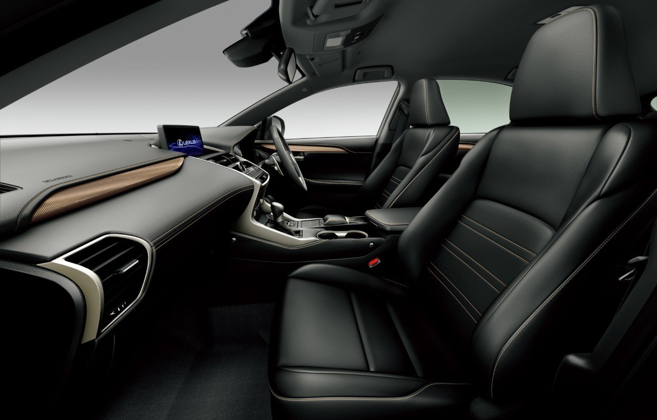 2020 - LEXUS NX BRONZE SPECIAL EDITION, foto 8