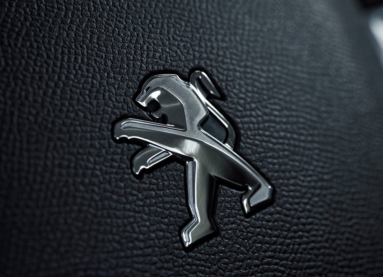 PEUGEOT LANDTREK, foto 157