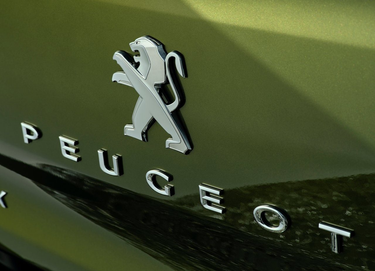 PEUGEOT LANDTREK, foto 193