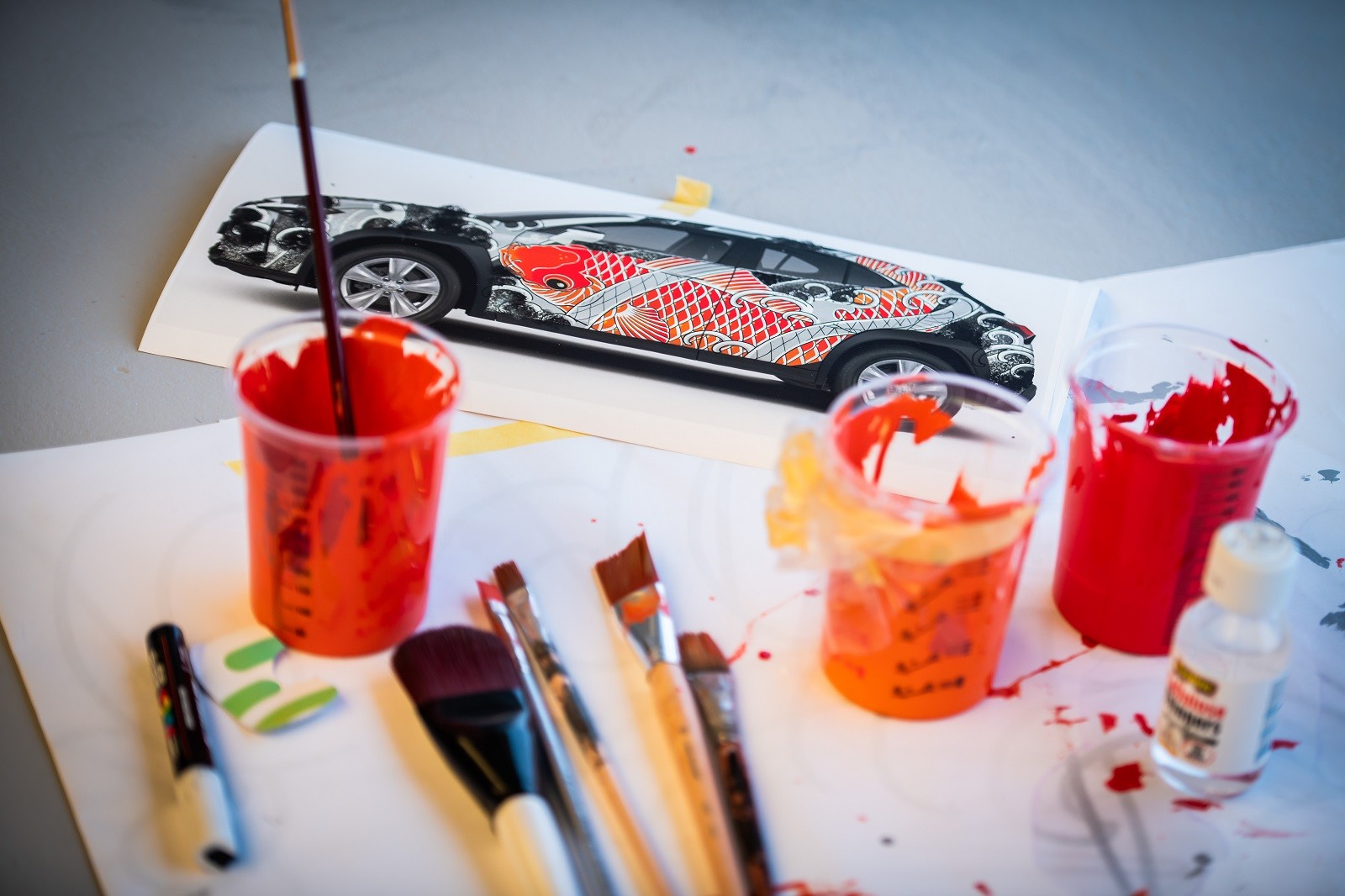 LEXUS UX BY CLAUDIA DE SABE, foto 8