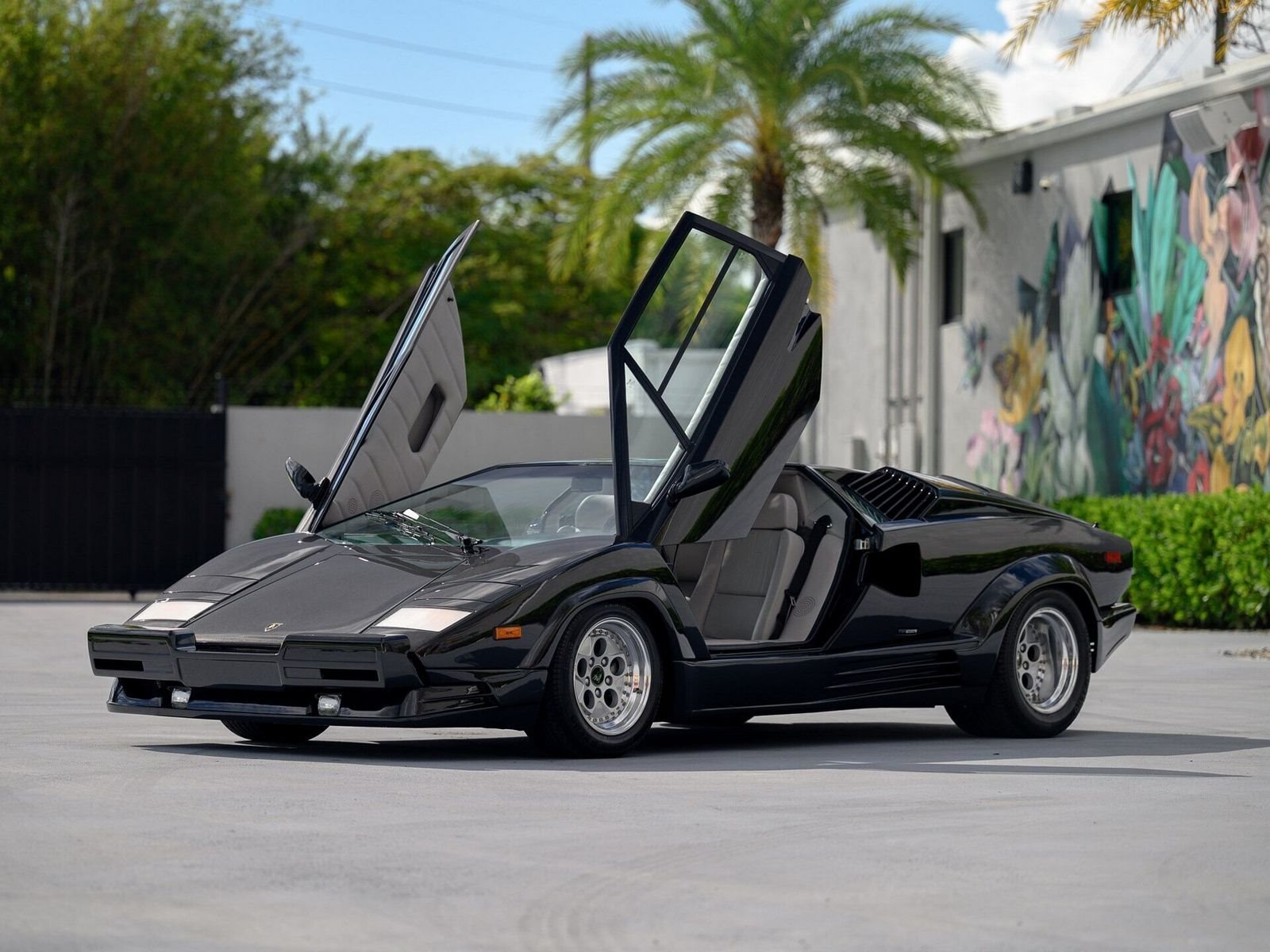 1990 - LAMBORGHINI COUNTACH 25TH ANNIVERSARY NERO METTALLIZZATO, foto 6
