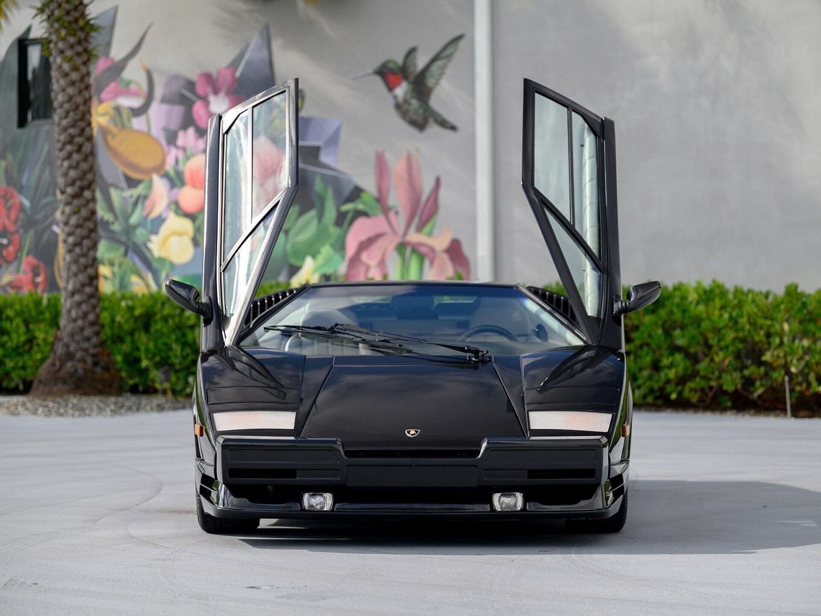 1990 - LAMBORGHINI COUNTACH 25TH ANNIVERSARY NERO METTALLIZZATO, foto 8