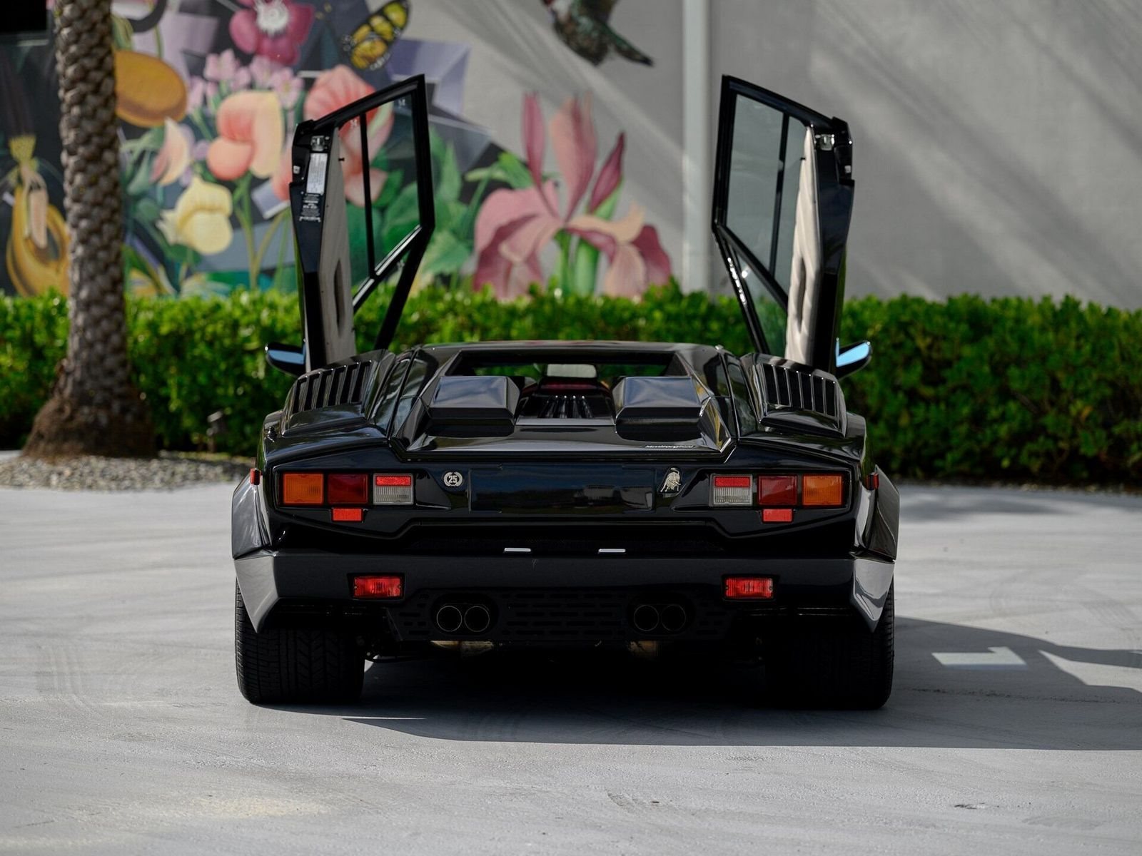 1990 - LAMBORGHINI COUNTACH 25TH ANNIVERSARY NERO METTALLIZZATO, foto 9