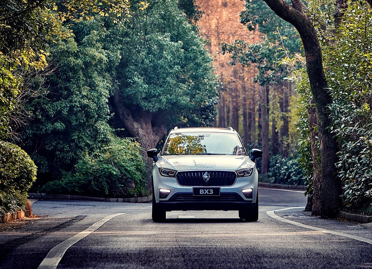 BORGWARD BX3, foto 6