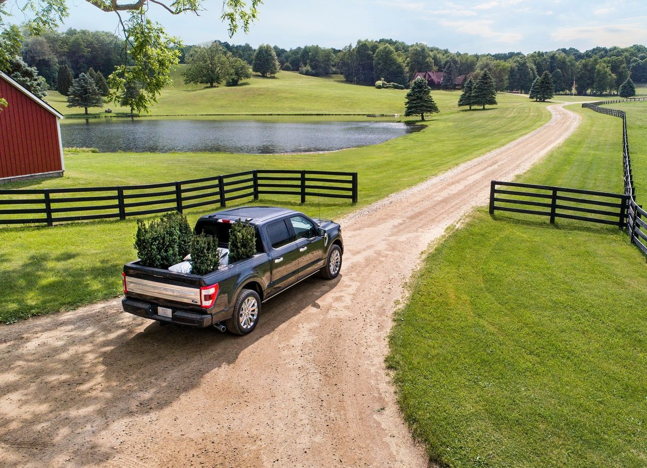 2021 - FORD F-150, foto 17