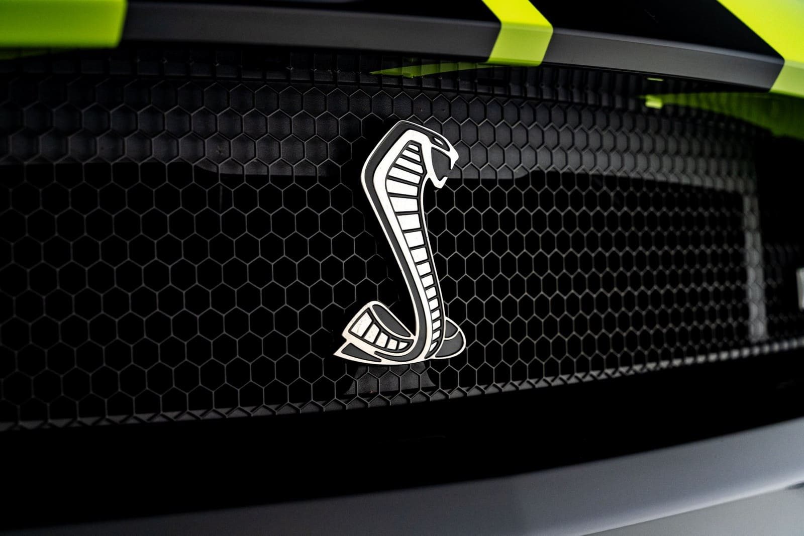 FORD MUSTANG SHELBY SIGNATURE EDITION, foto 10
