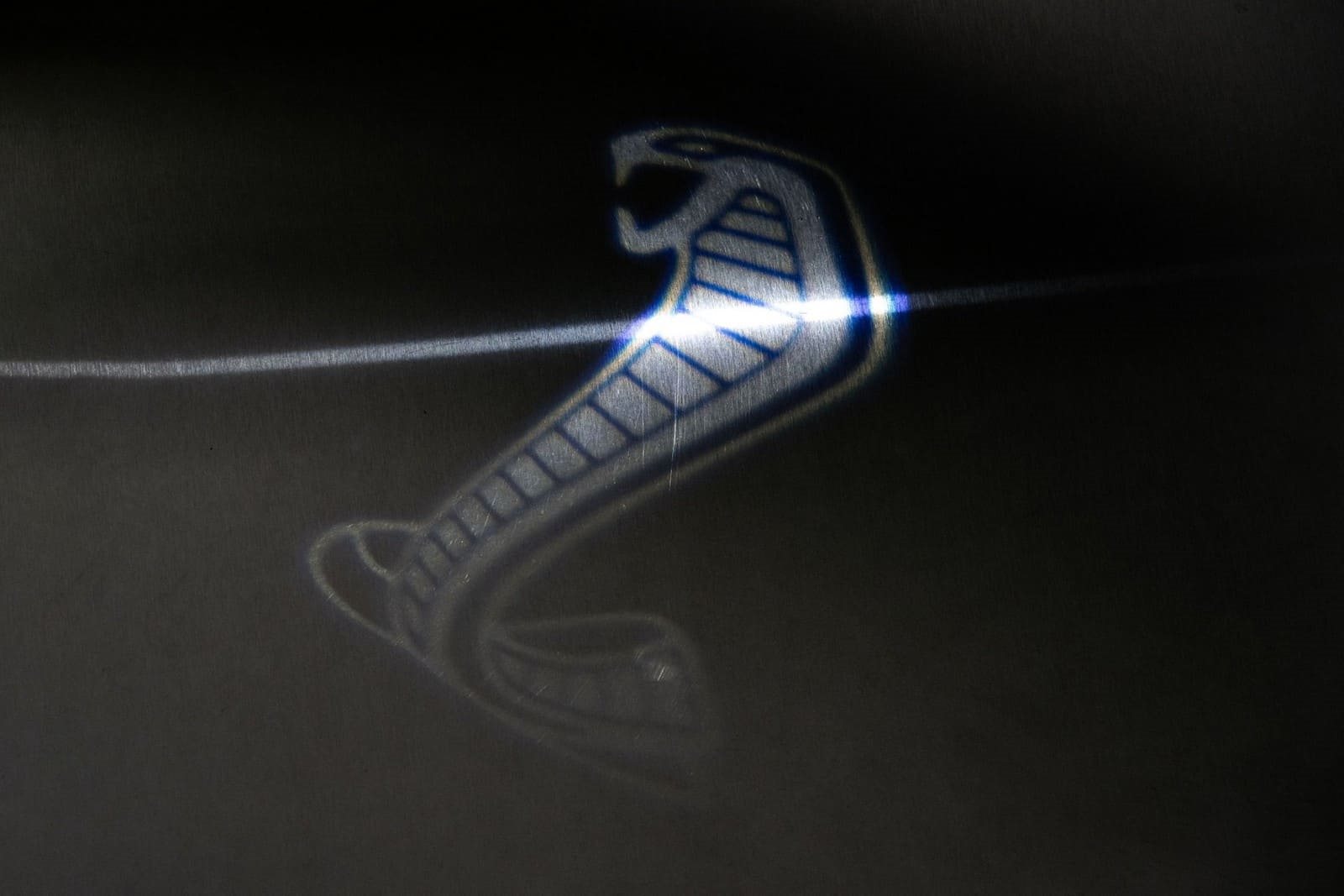 FORD MUSTANG SHELBY SIGNATURE EDITION, foto 14