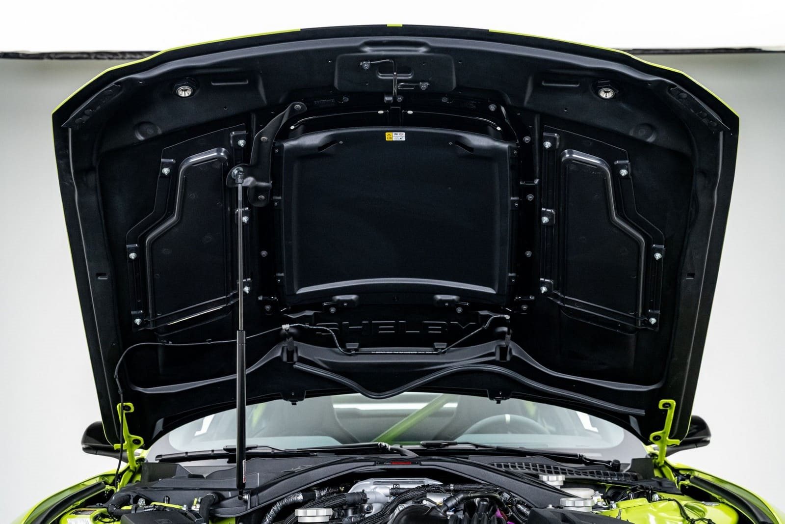 FORD MUSTANG SHELBY SIGNATURE EDITION, foto 40