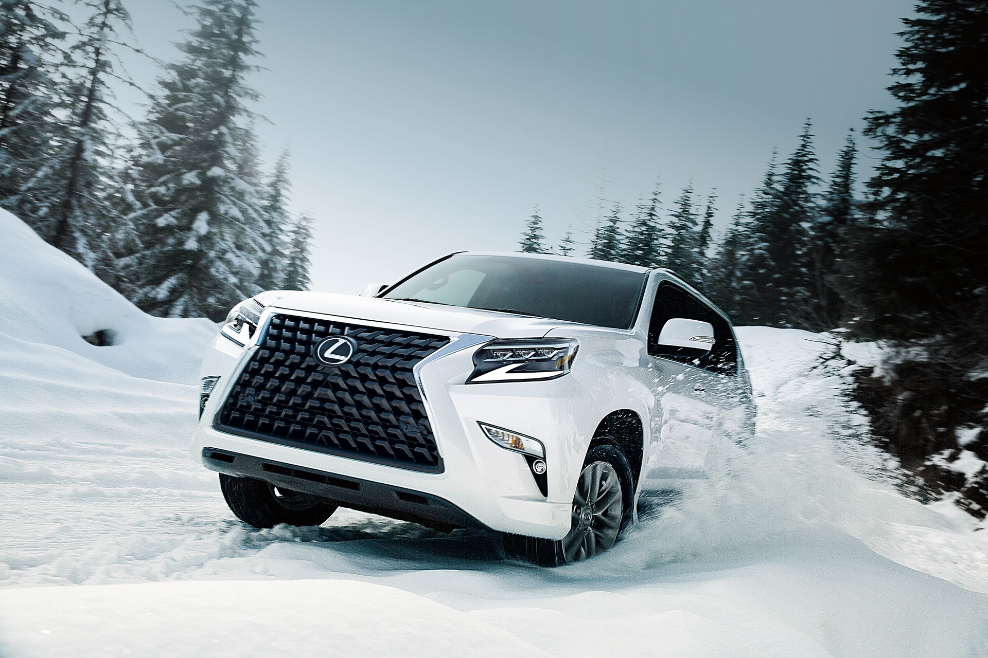 2021 - LEXUS GX, foto 12