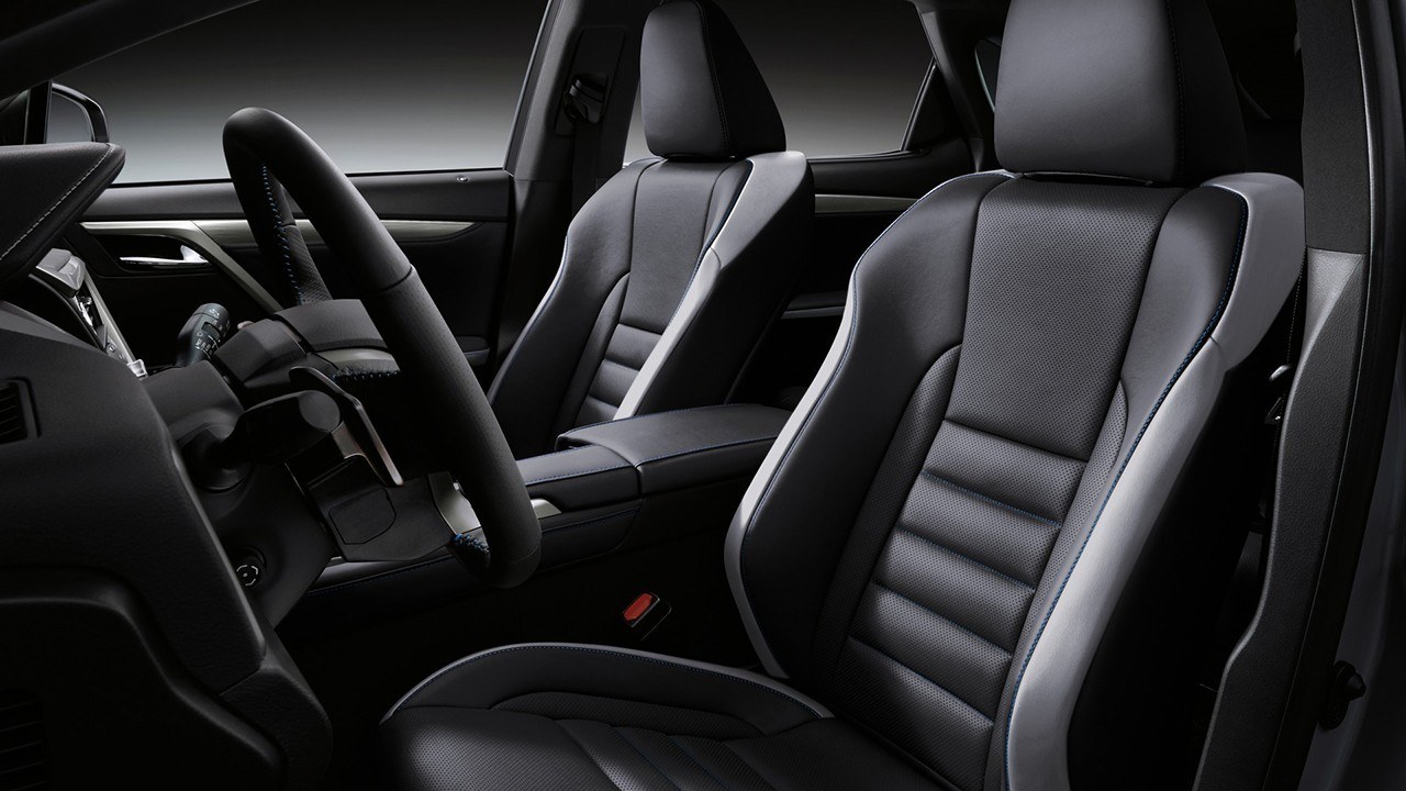 LEXUS RX BLACK LINE, foto 7