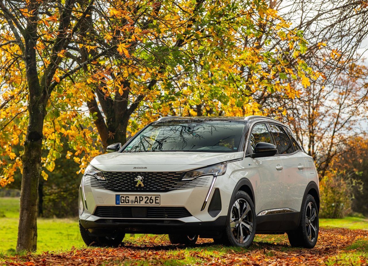 2021 - PEUGEOT 3008, foto 1