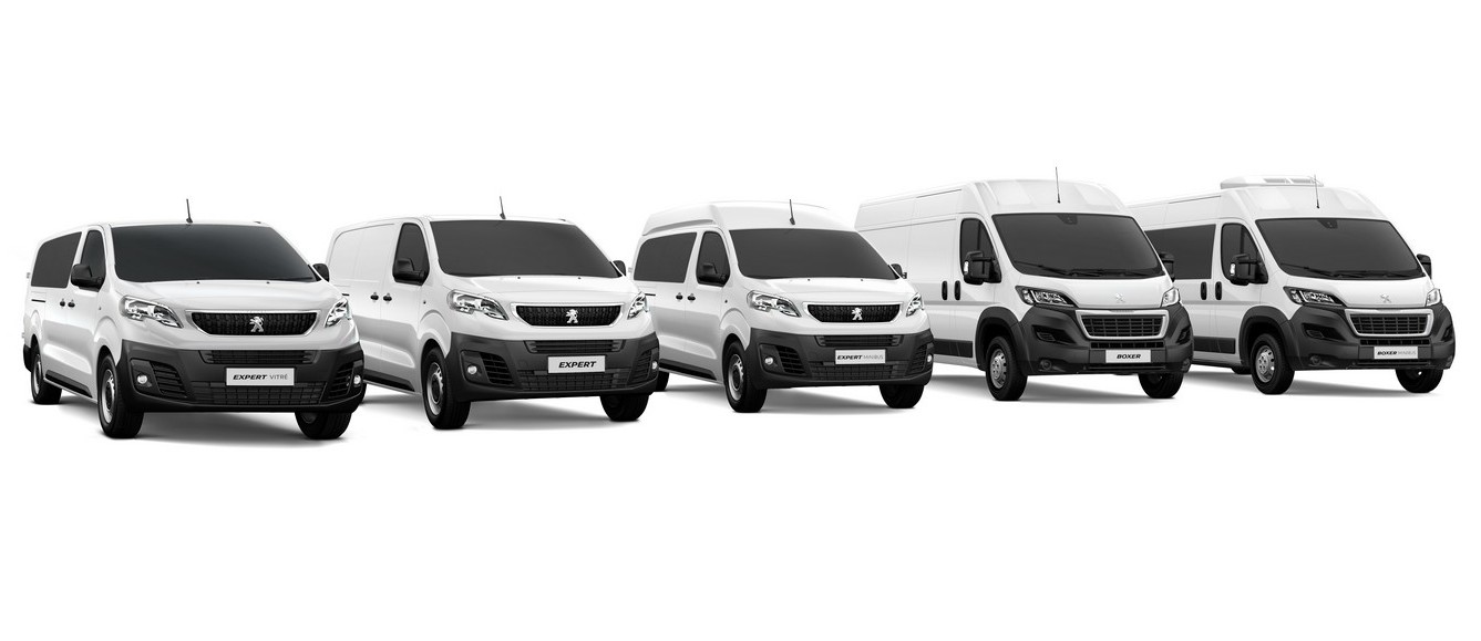 2021 - PEUGEOT EXPERT VITRÉ, foto 9