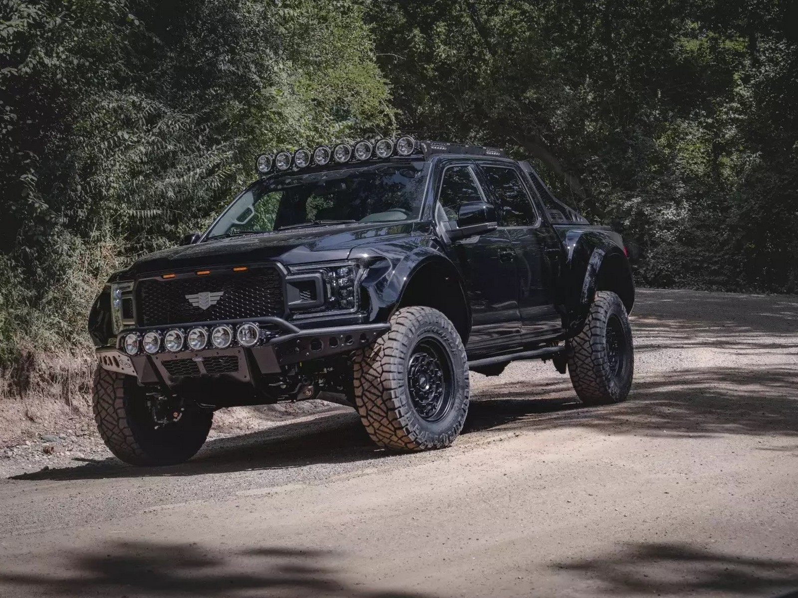 FORD F-150 INTREPID BY MIL-SPEC, foto 1