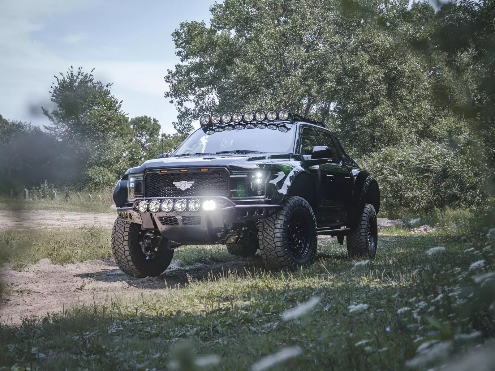 FORD F-150 INTREPID BY MIL-SPEC, foto 2