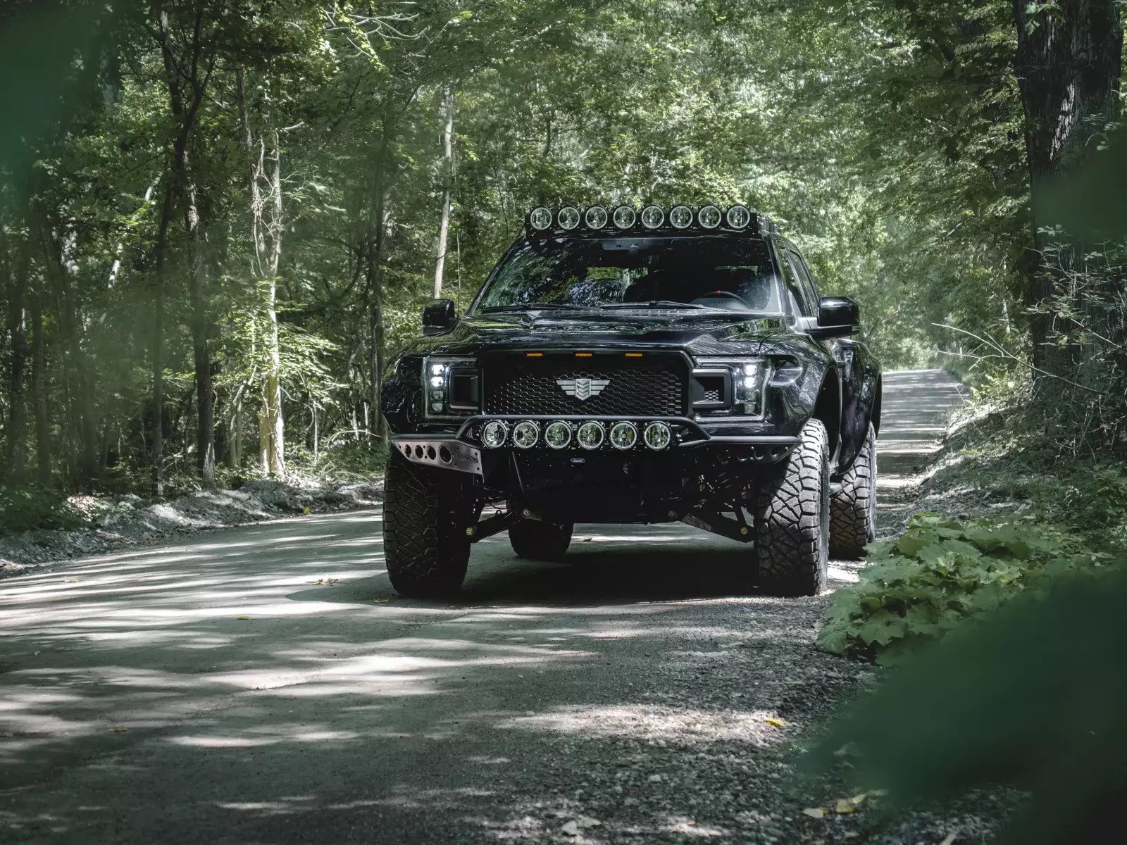 FORD F-150 INTREPID BY MIL-SPEC, foto 3