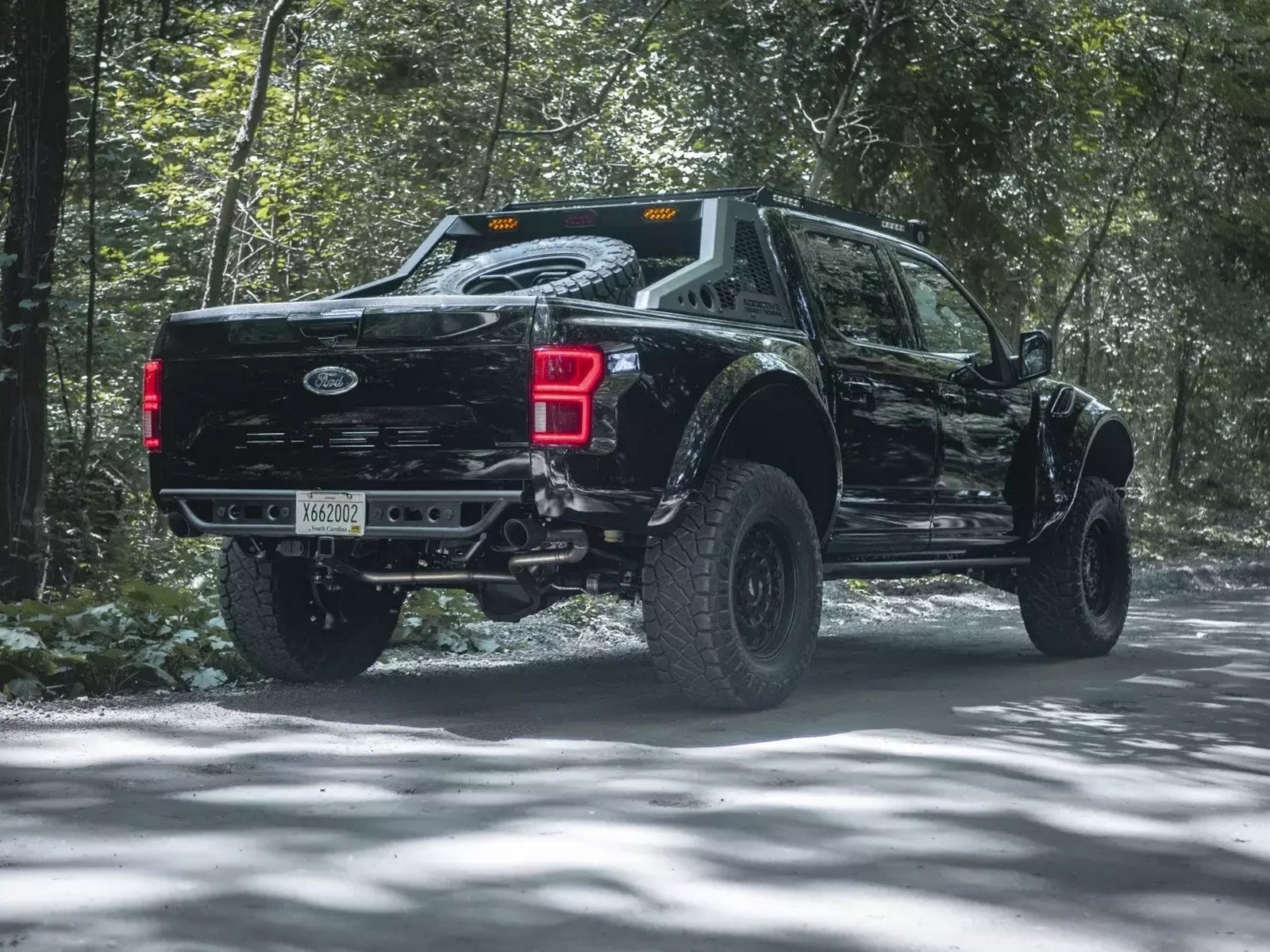 FORD F-150 INTREPID BY MIL-SPEC, foto 7
