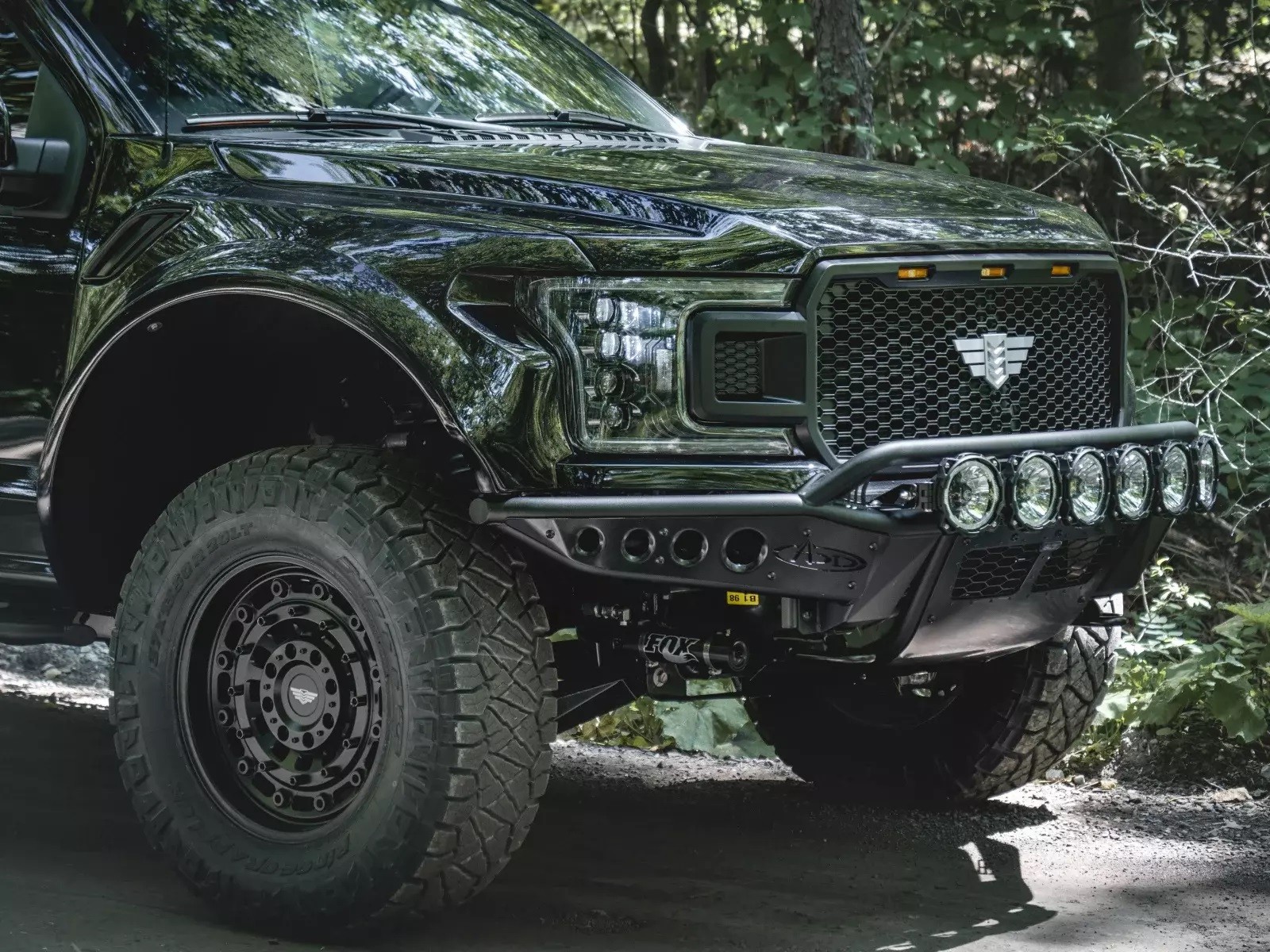 FORD F-150 INTREPID BY MIL-SPEC, foto 12