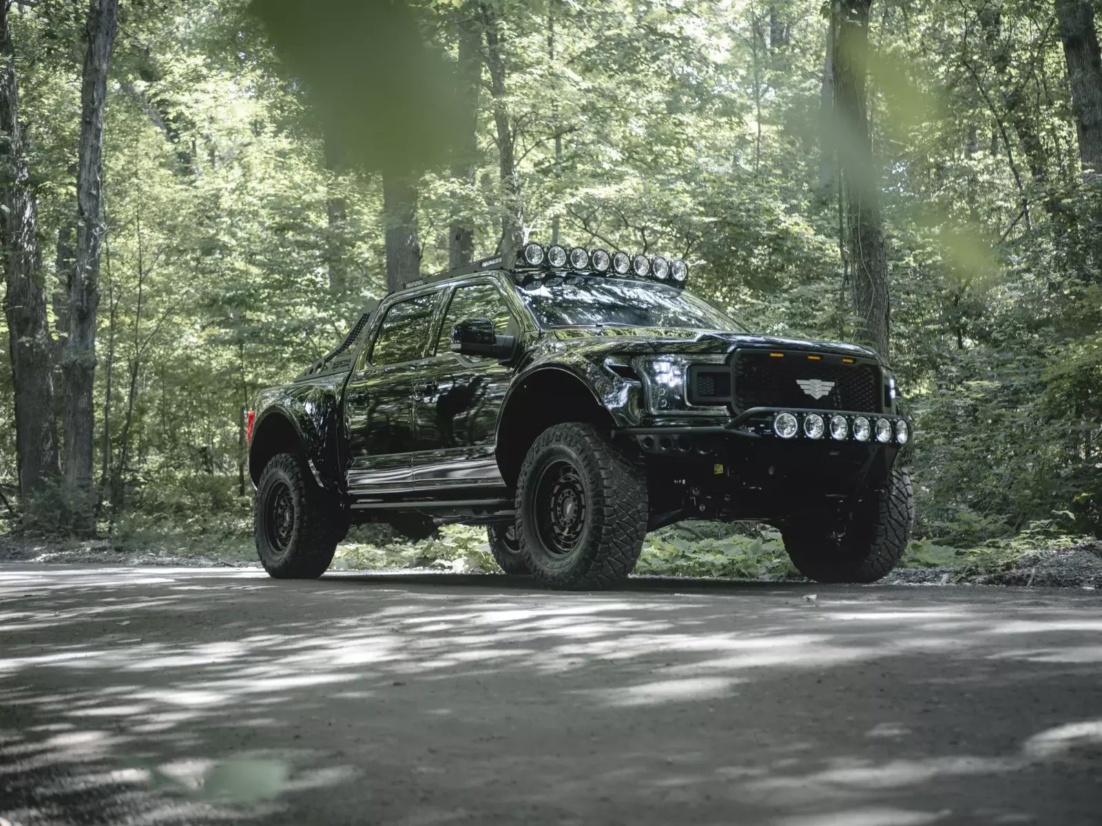 FORD F-150 INTREPID BY MIL-SPEC, foto 13