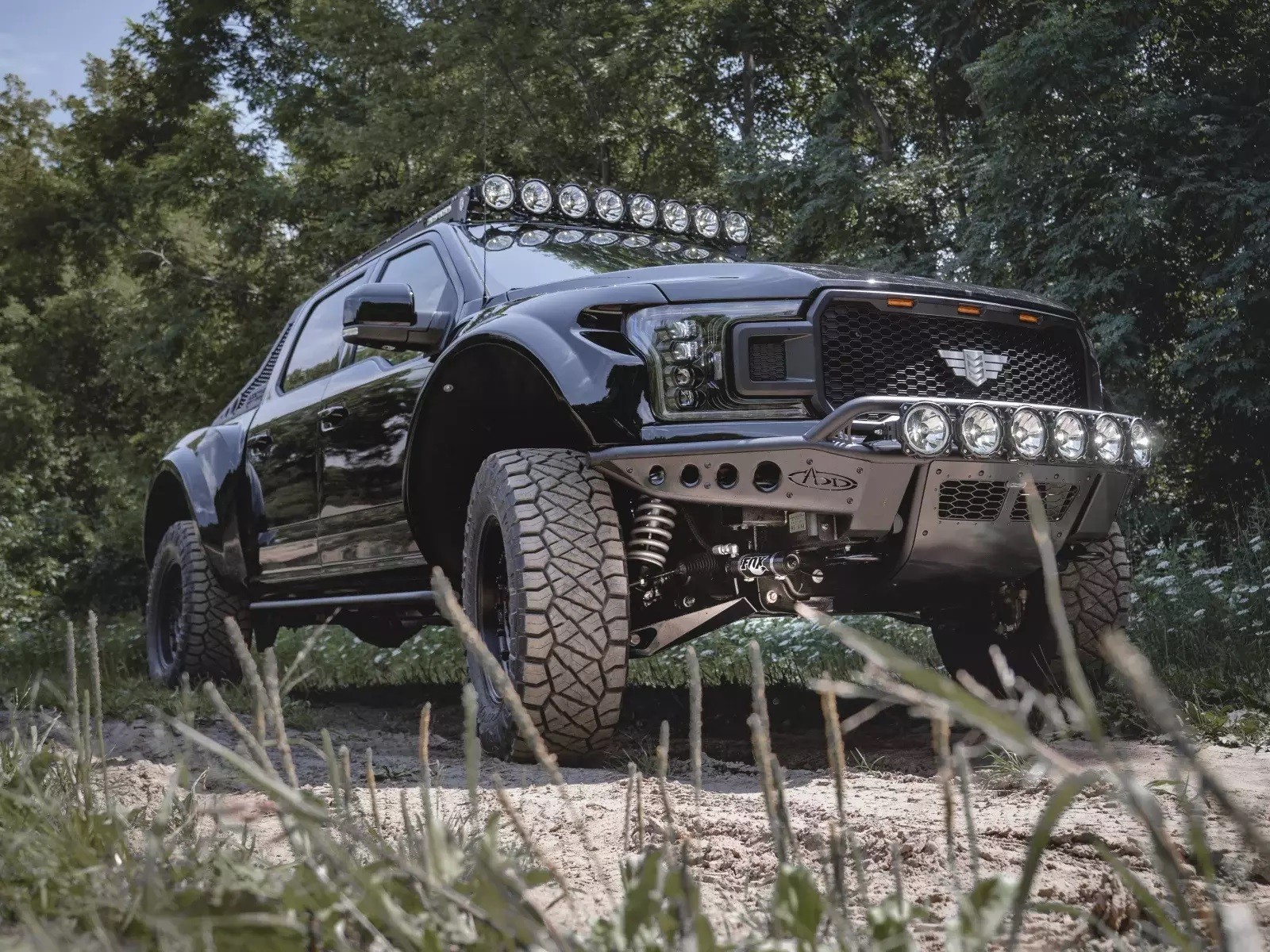FORD F-150 INTREPID BY MIL-SPEC, foto 16