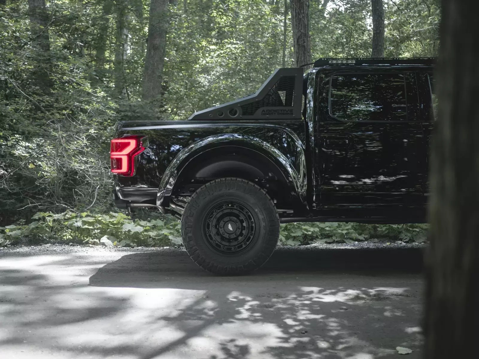 FORD F-150 INTREPID BY MIL-SPEC, foto 18