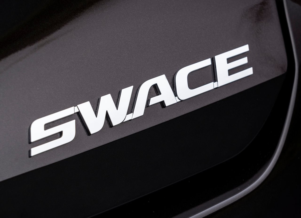 2021 - SUZUKI SWACE, foto 89