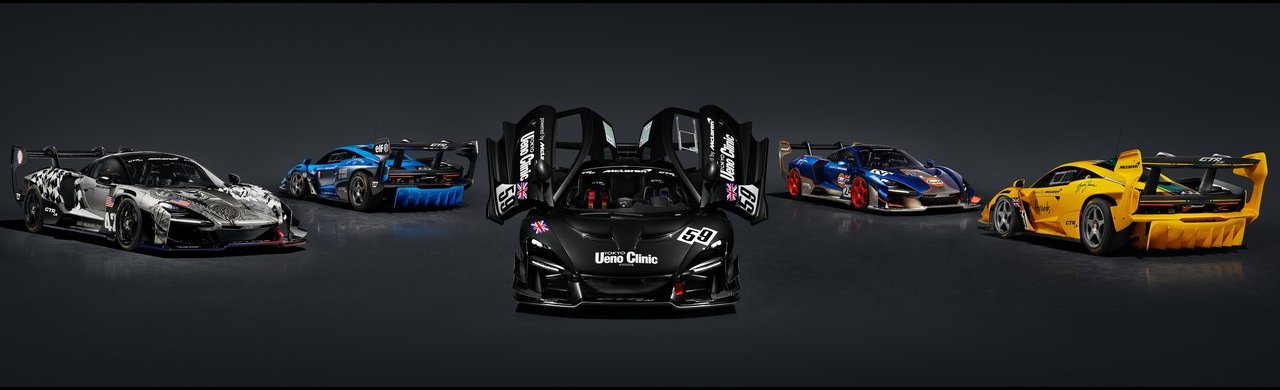 McLAREN SENNA GTR LM, foto 35