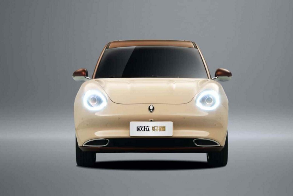 2020 - GWM ORA GOOD CAT, foto 14
