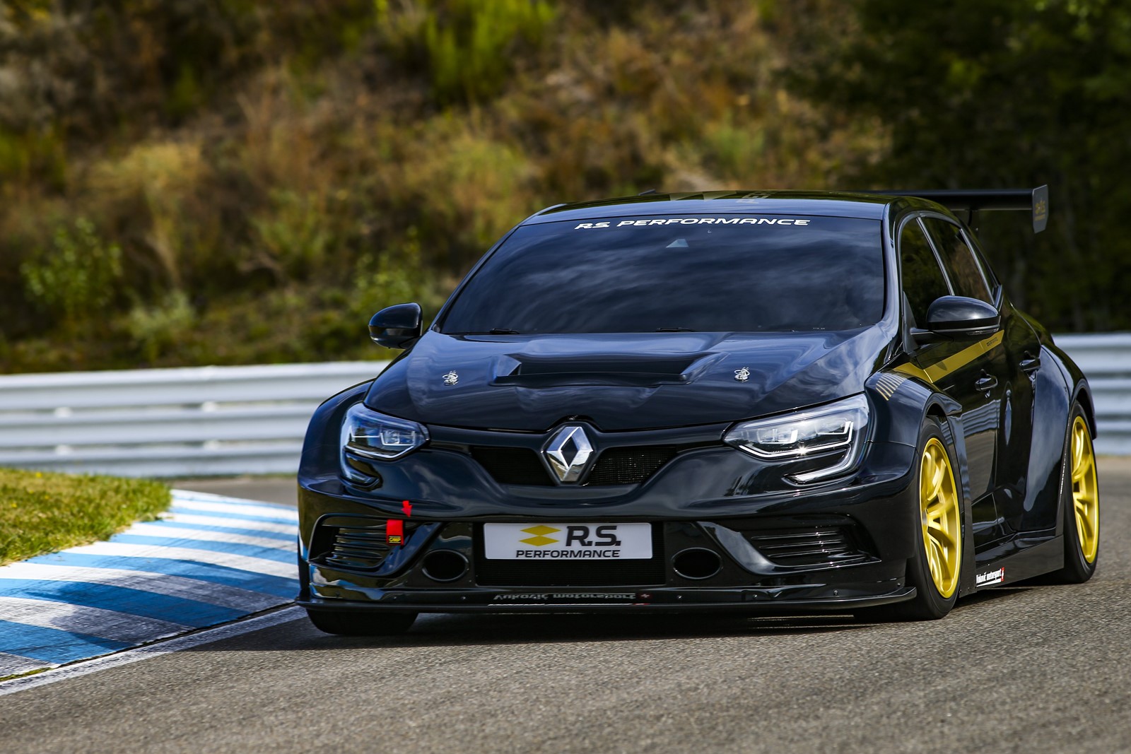 RENAULT MÉGANE RS TC4 BY VUKOVIC MOTORSPORT, foto 3