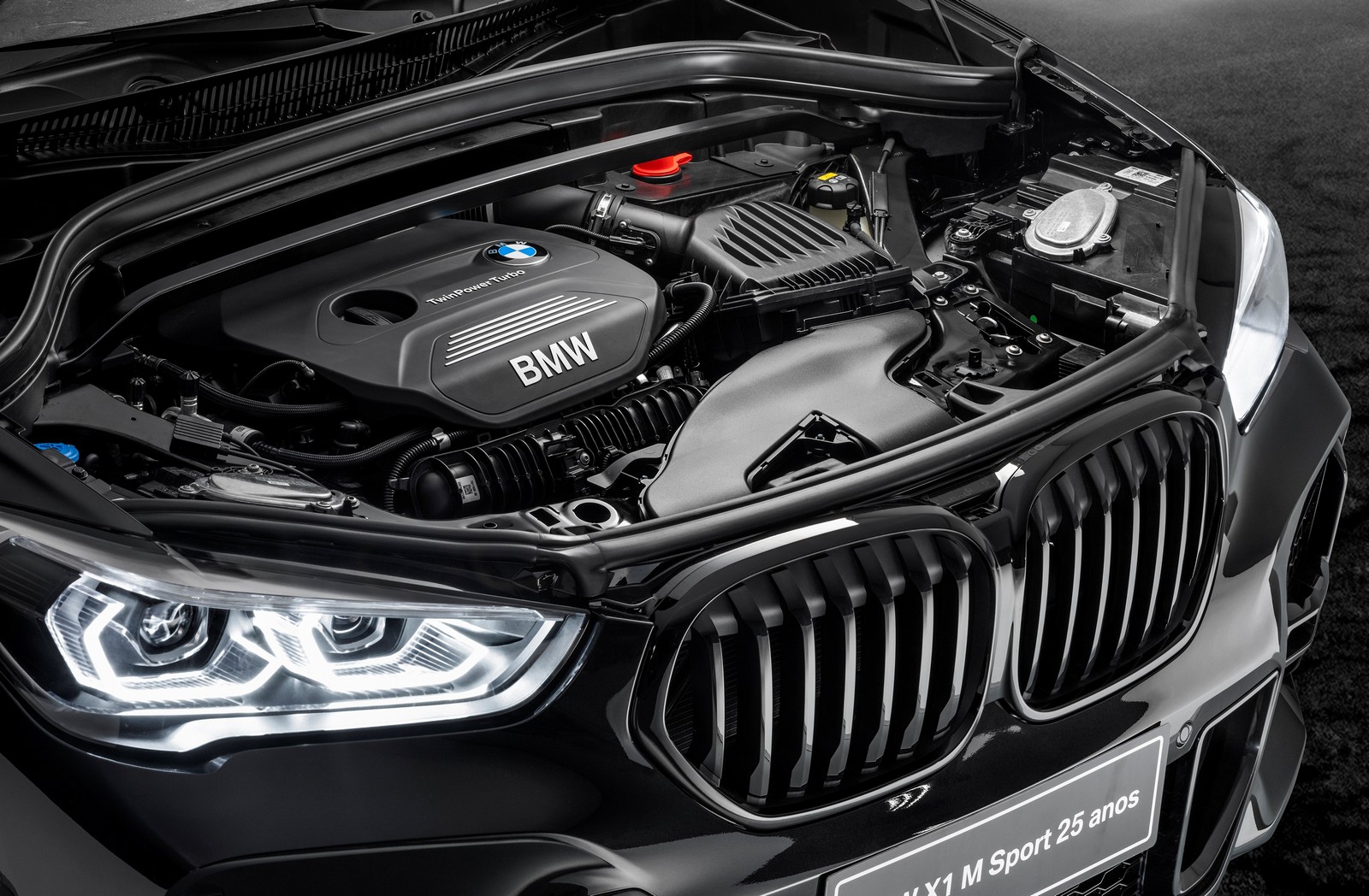 BMW X1 M SPORT 25 ANOS, foto 10