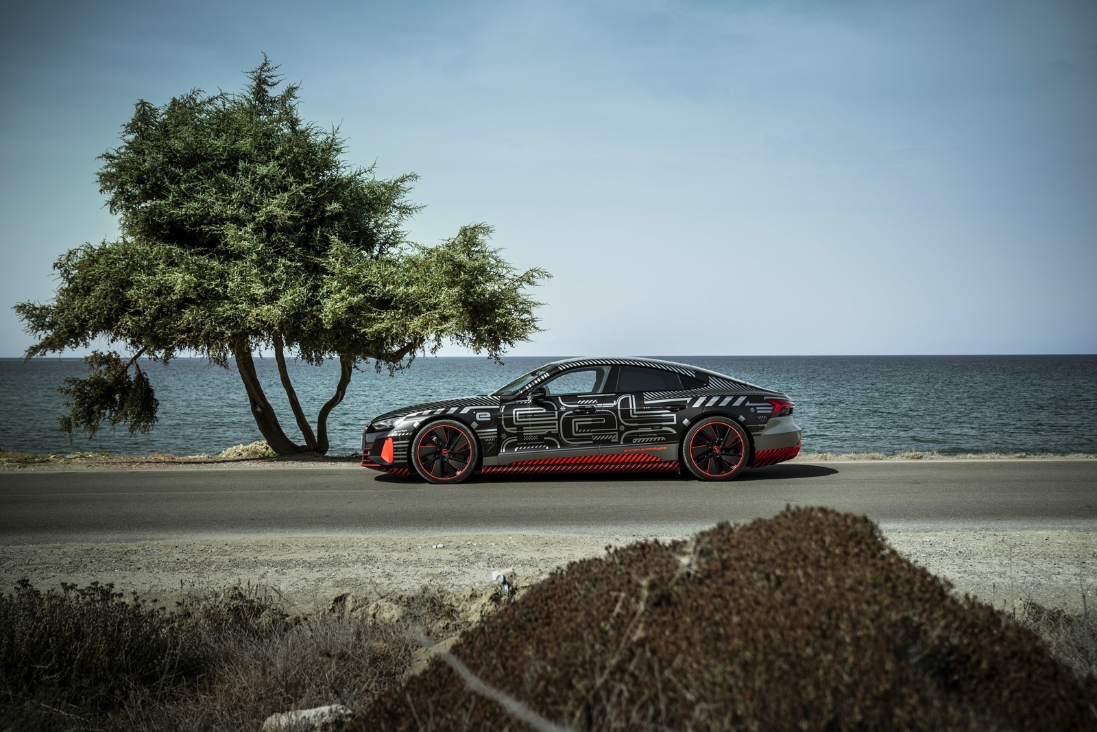 2021 - AUDI RS E-TRON GT PROTOTYPE, foto 24