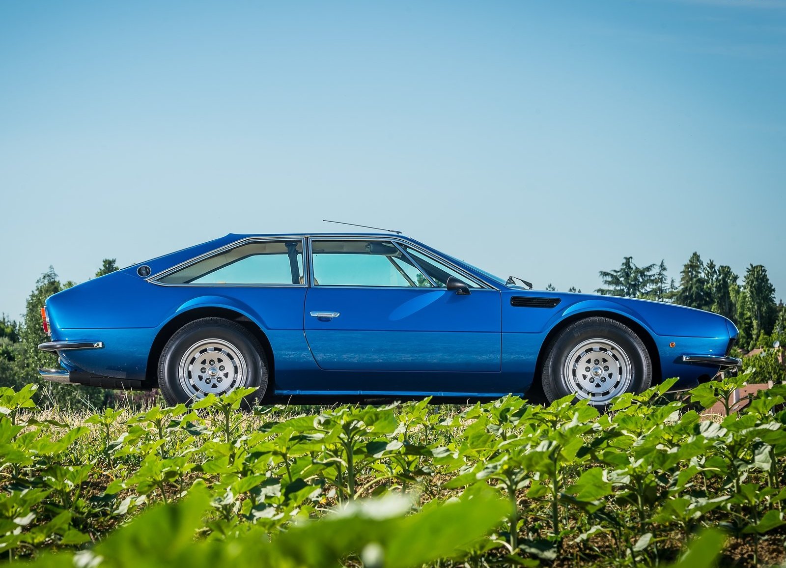 1970 - LAMBORGHINI JARAMA GT, foto 13