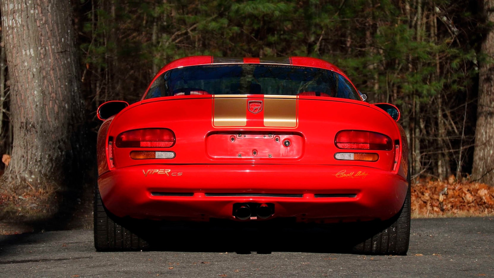 1997 - DODGE VIPER GTS CS PROTOTYPE, foto 7