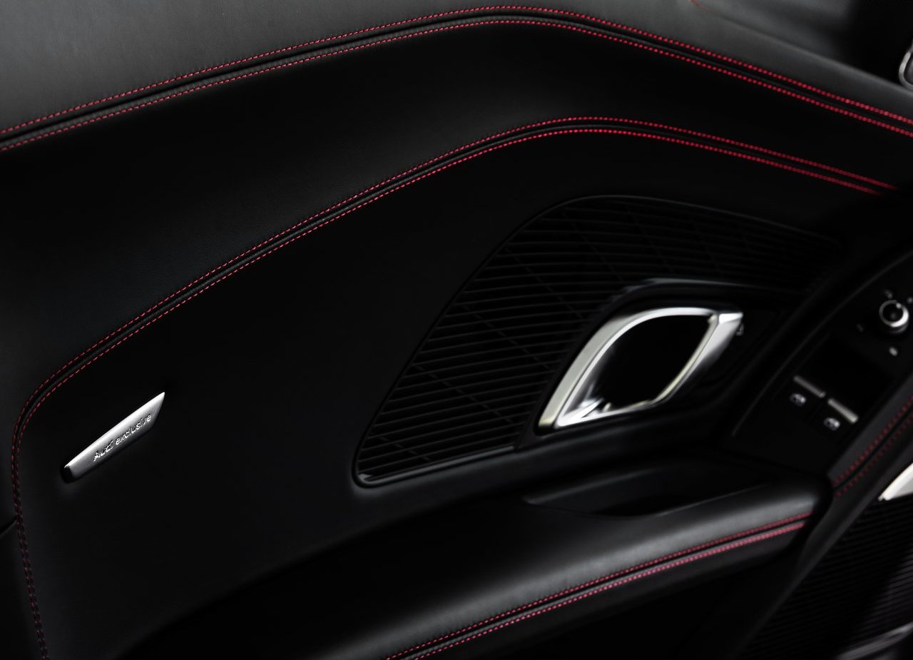 2021 - AUDI R8 RWD PANTHER EDITION, foto 16