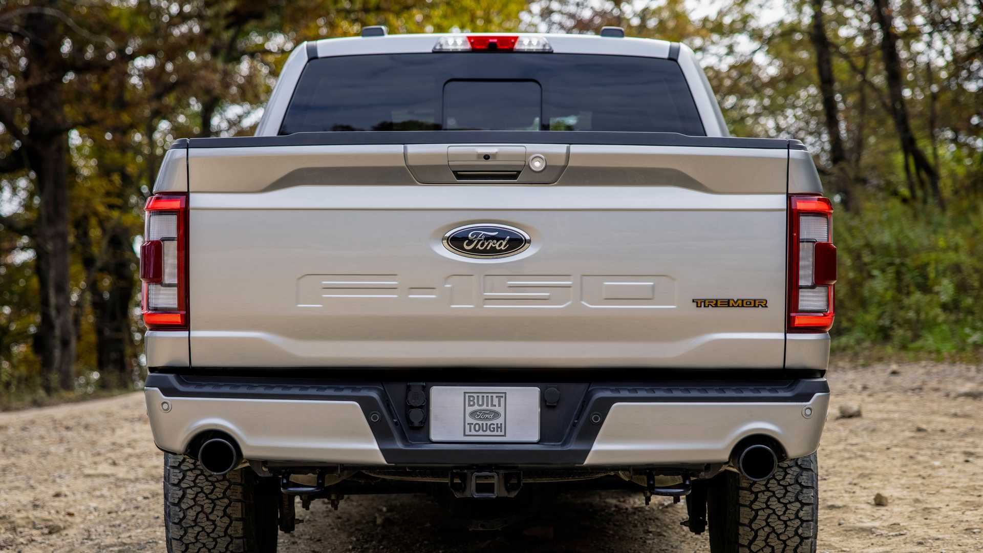 2021 - FORD F-150 TREMOR, foto 10