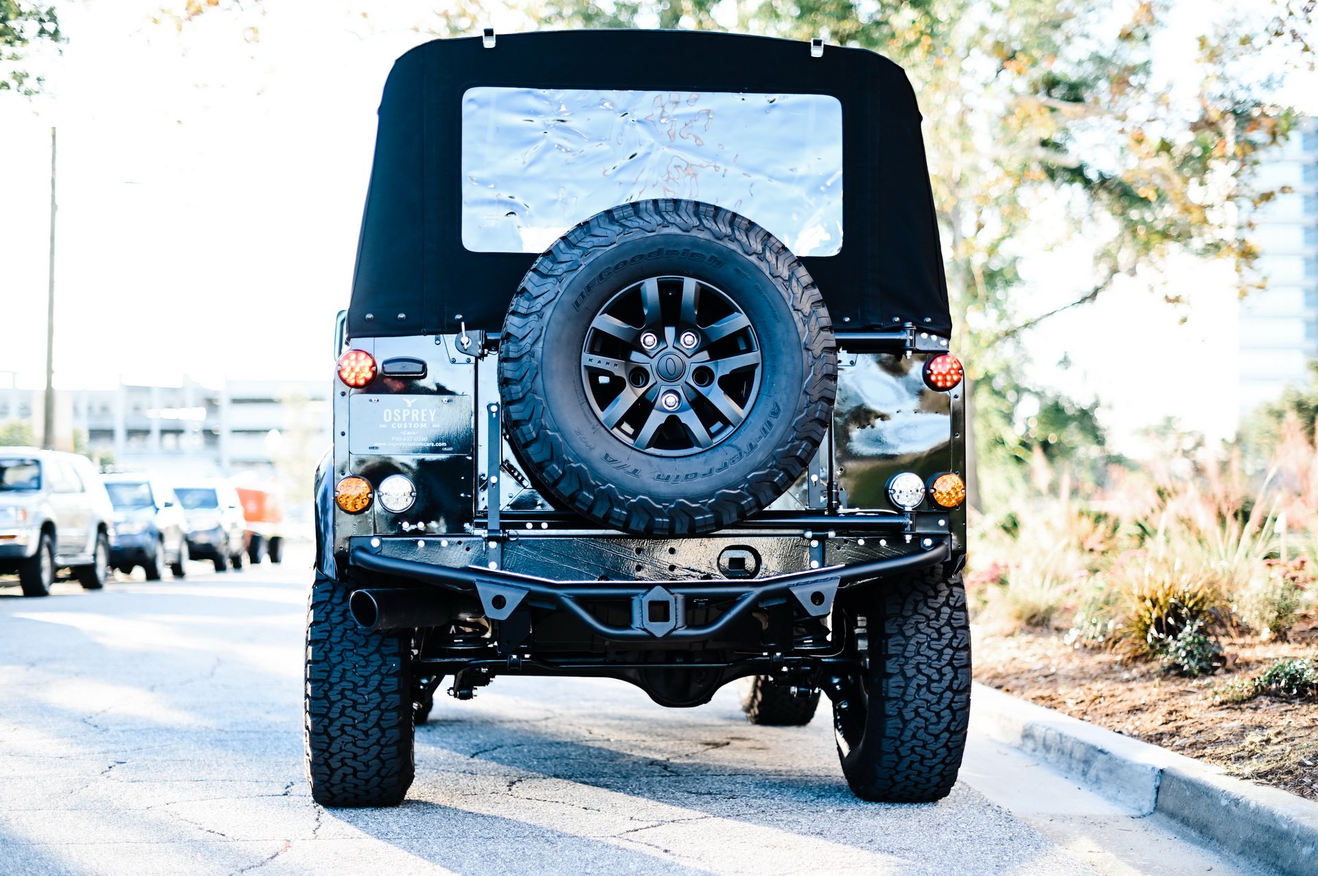 1995 - LAND ROVER DEFENDER 90 BY OSPREY, foto 13