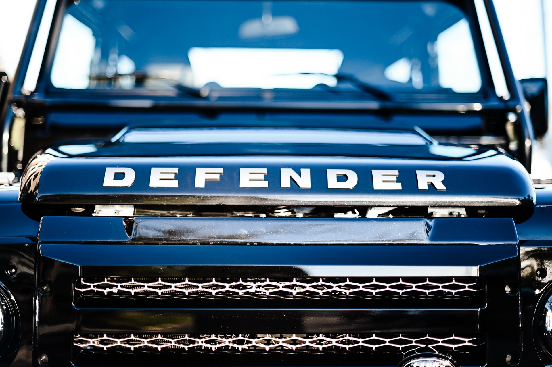 1995 - LAND ROVER DEFENDER 90 BY OSPREY, foto 19