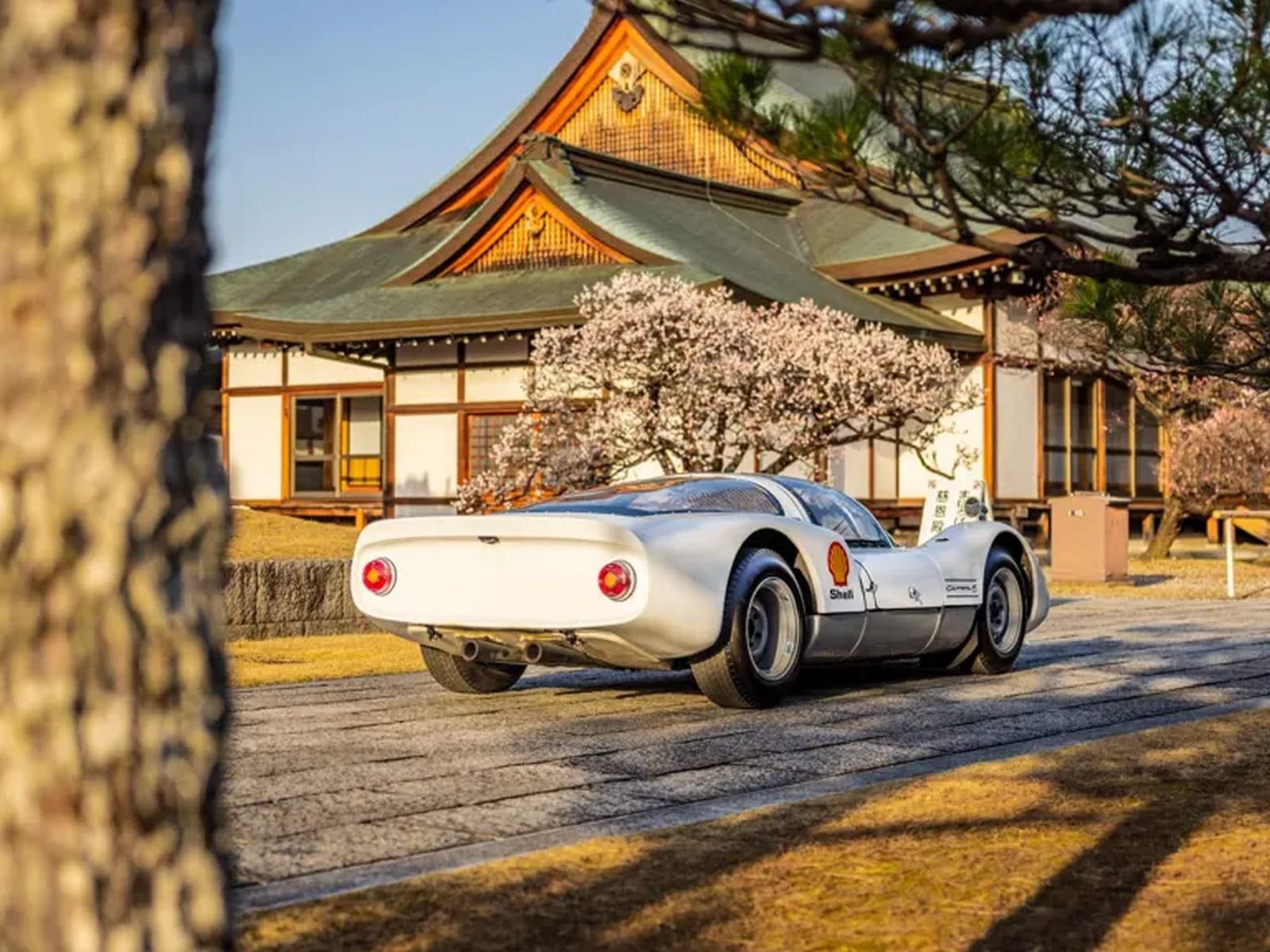 1966 - PORSCHE 906 CARRERA 6, foto 32