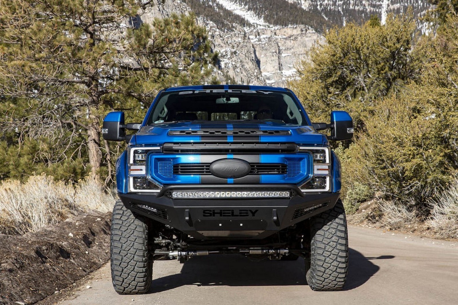 FORD F-250 SHELBY SUPER BAJA, foto 8