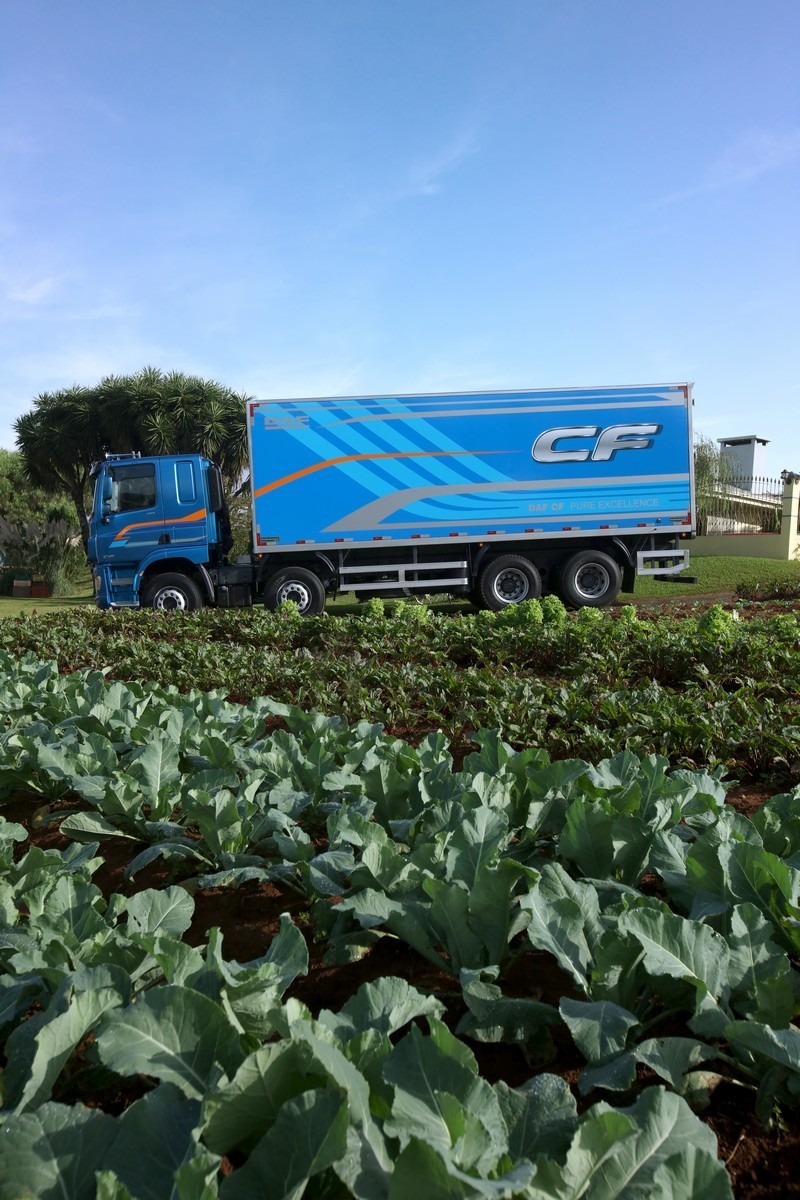 DAF CF, foto 40