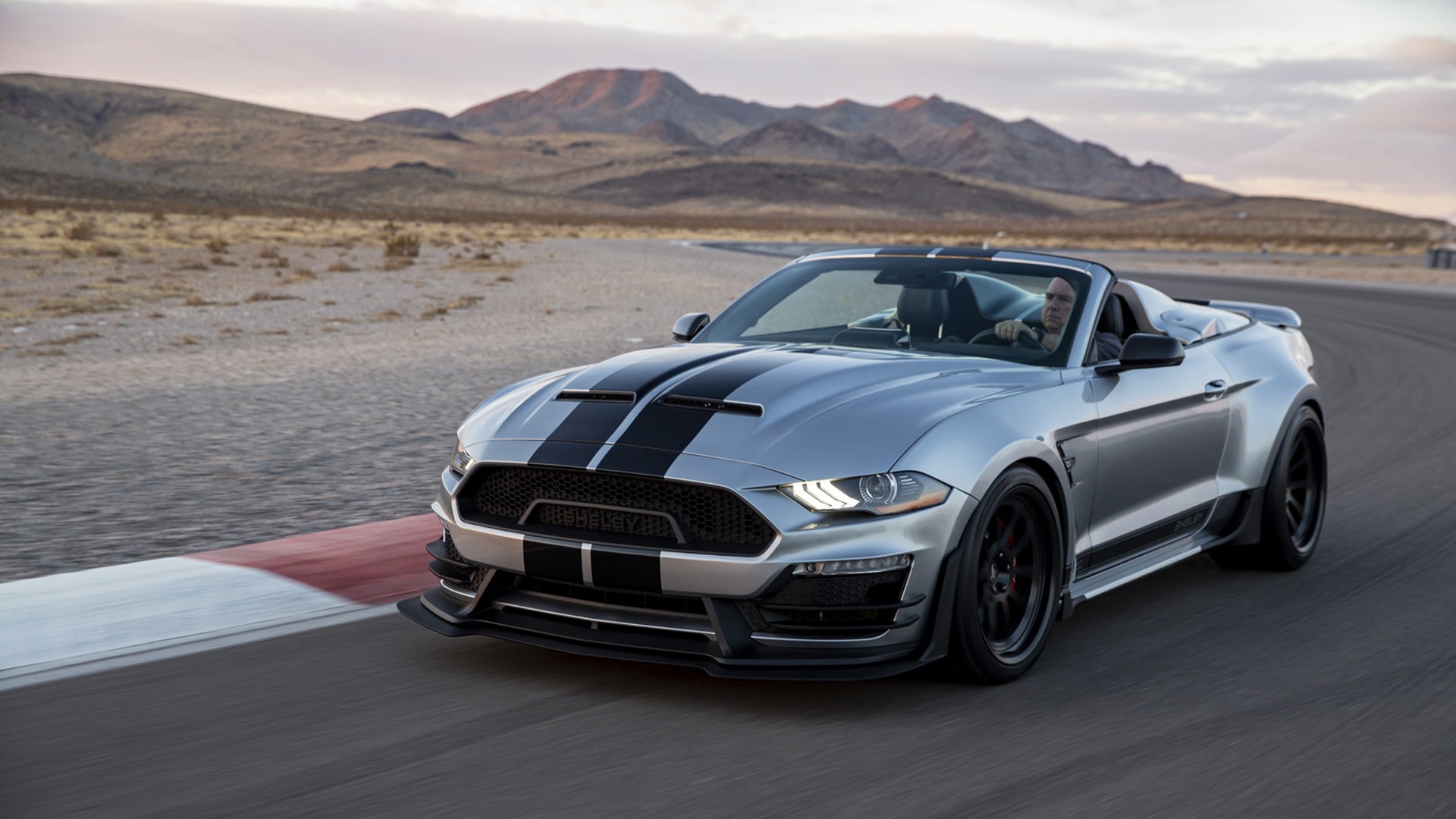 FORD MUSTANG SHELBY SUPER SNAKE SPEEDSTER, foto 2