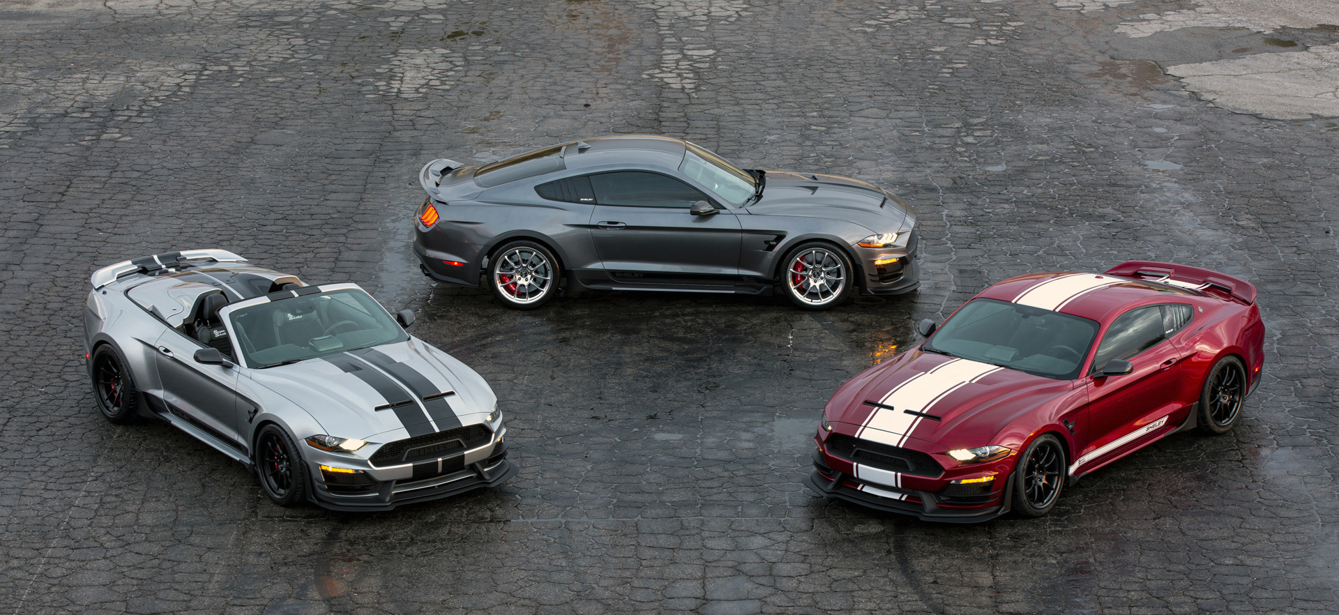 FORD MUSTANG SHELBY SUPER SNAKE SPEEDSTER, foto 20
