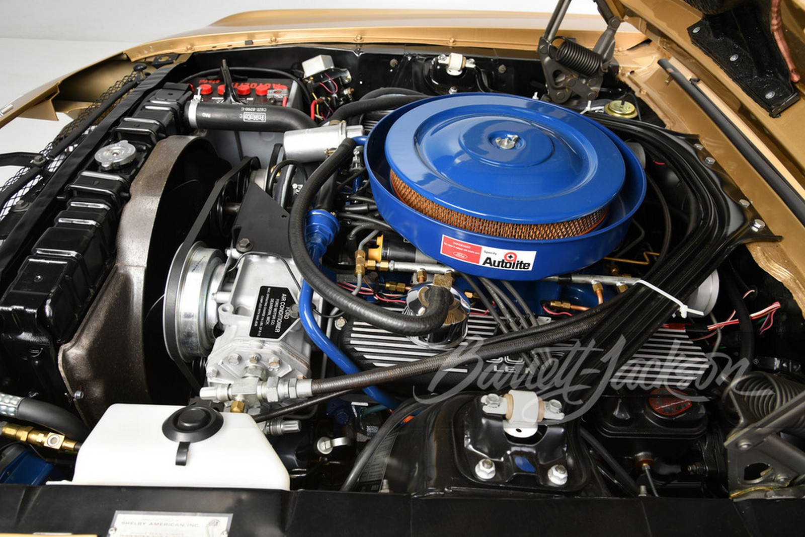 FORD MUSTANG SHELBY GT500 EFI PROTOTYPE, foto 10