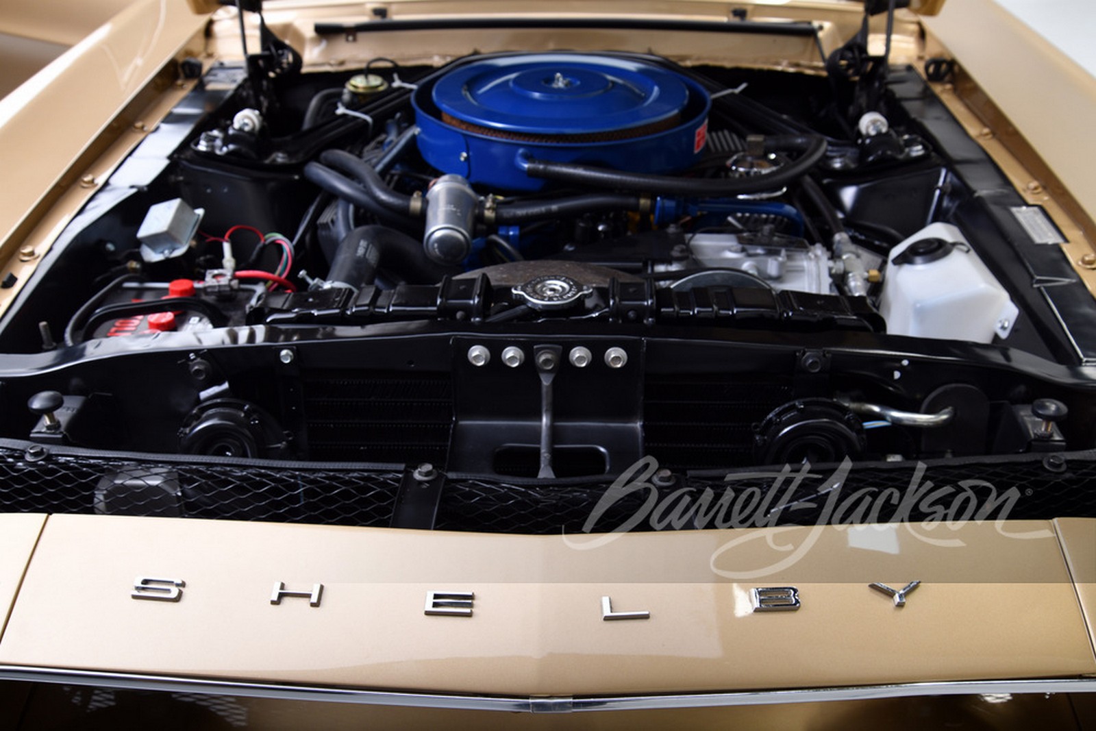 FORD MUSTANG SHELBY GT500 EFI PROTOTYPE, foto 11