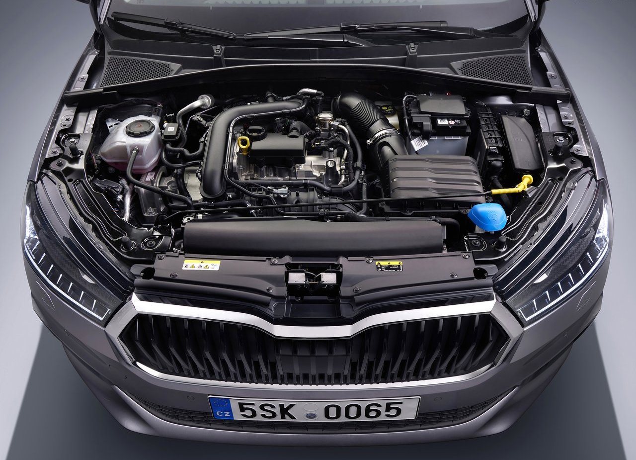 SKODA FABIA, foto 219