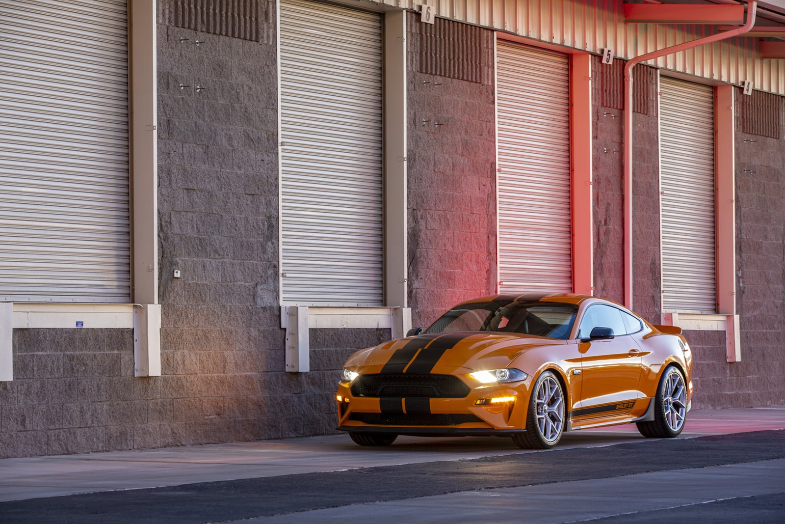 FORD MUSTANG GT BY SHELBY AMERICAN, foto 2