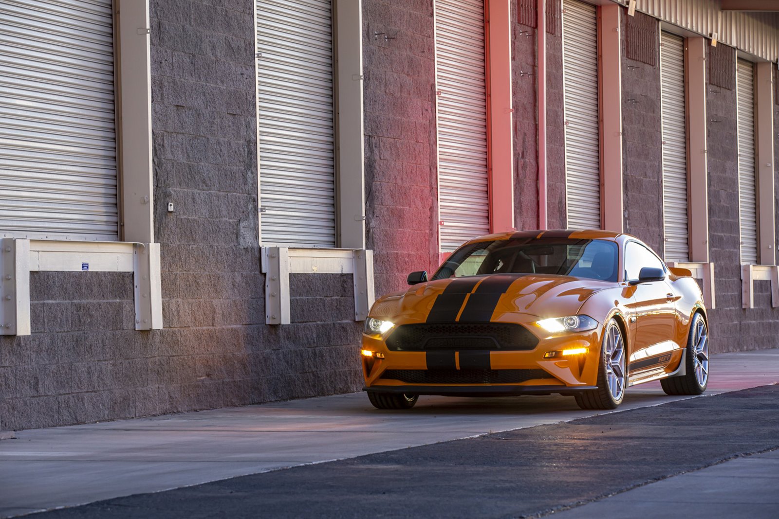 FORD MUSTANG GT BY SHELBY AMERICAN, foto 3