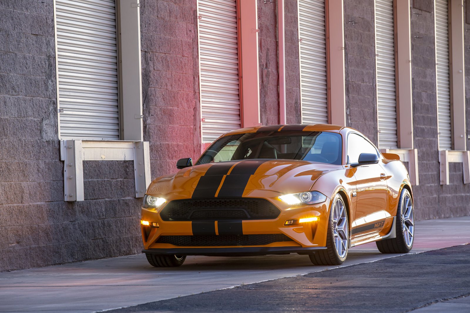 FORD MUSTANG GT BY SHELBY AMERICAN, foto 4