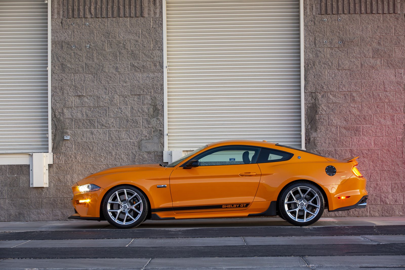 FORD MUSTANG GT BY SHELBY AMERICAN, foto 5