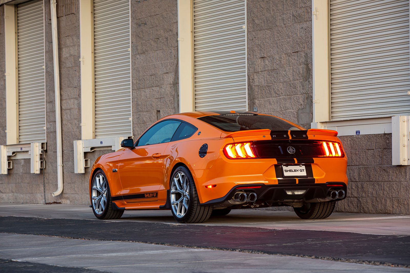 FORD MUSTANG GT BY SHELBY AMERICAN, foto 7